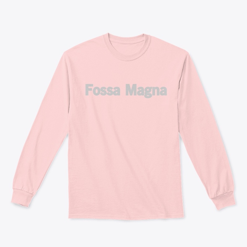 Fossa Magna