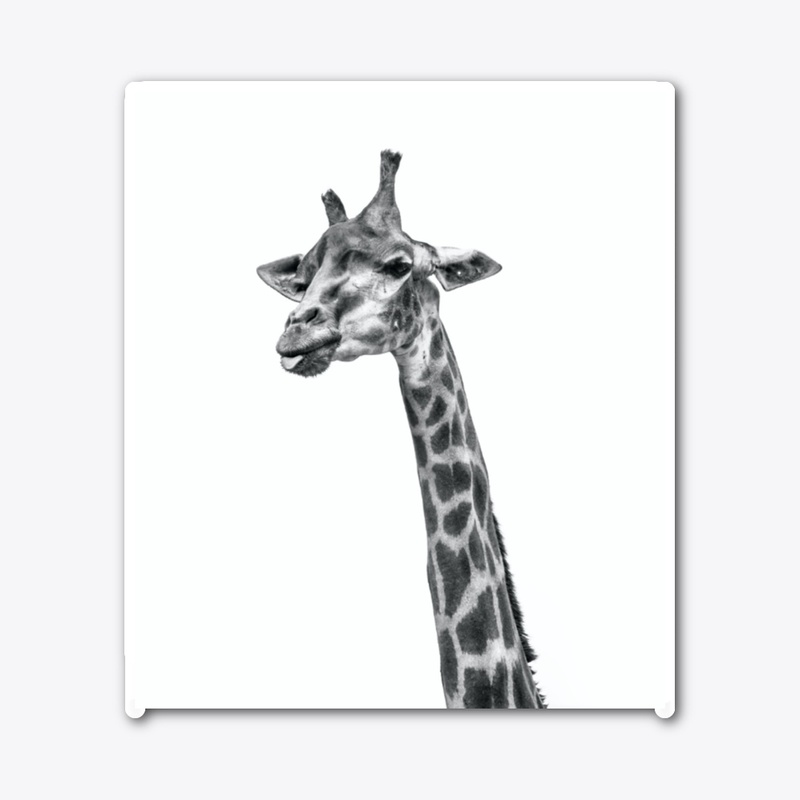 Cute giraffe notebook 