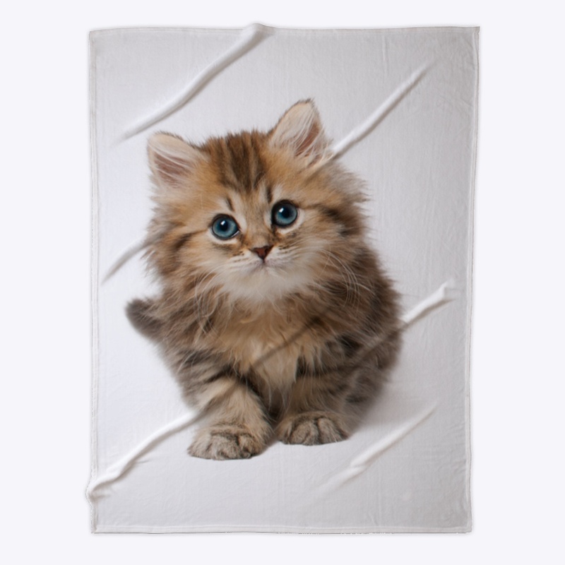 Kitten Tee Shirt
