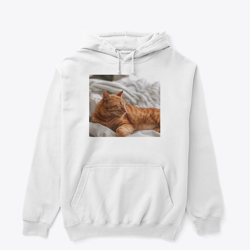 Nice cat