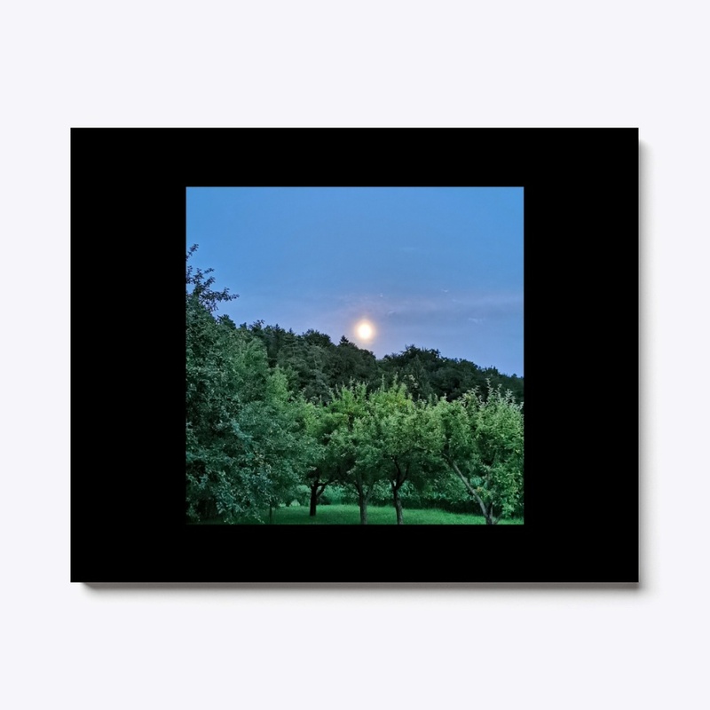 Moon at evening