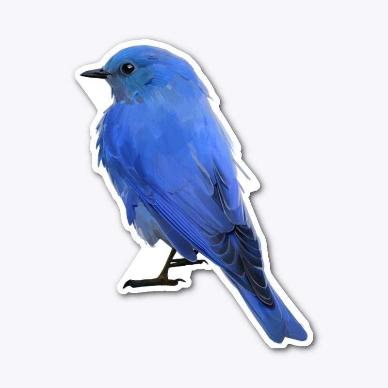small blue bird