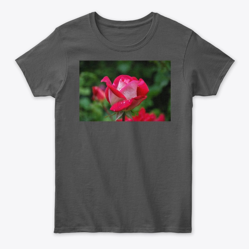 Teshirt