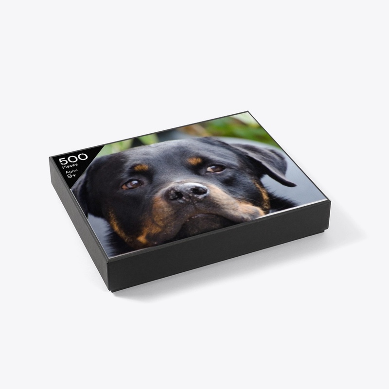 A dog Puzzles 