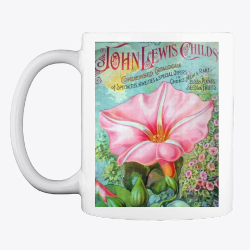 Vintage Pink Morning Glory