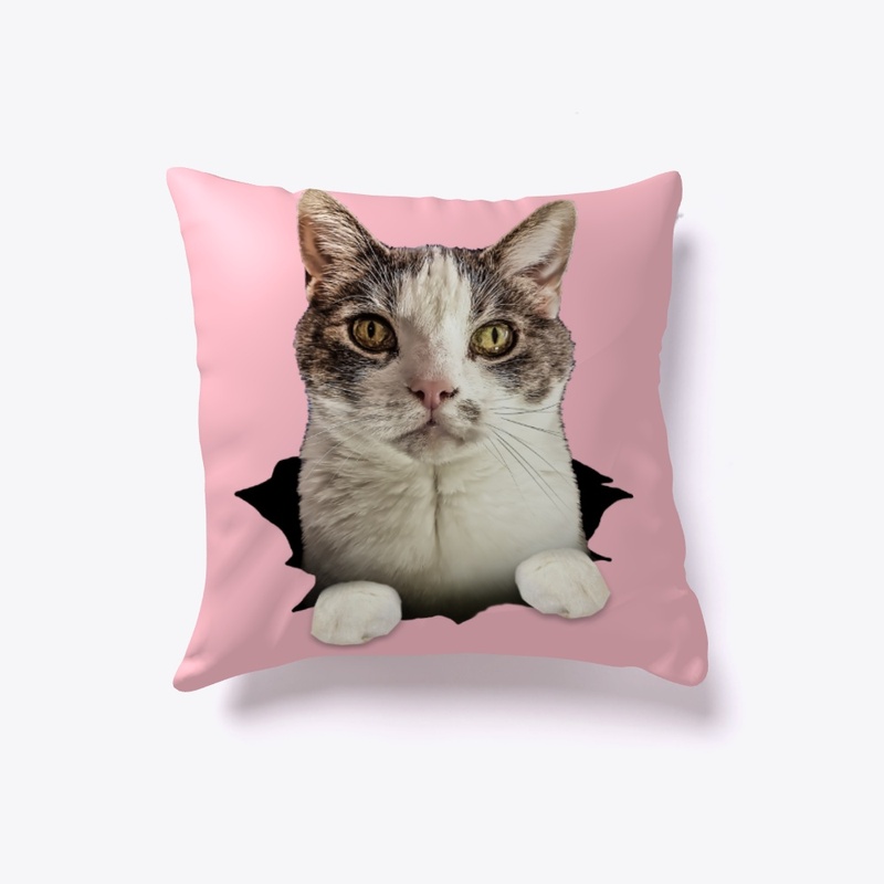 Slash Hugs Pillow