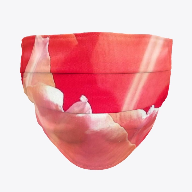 Bloom/ Tulip