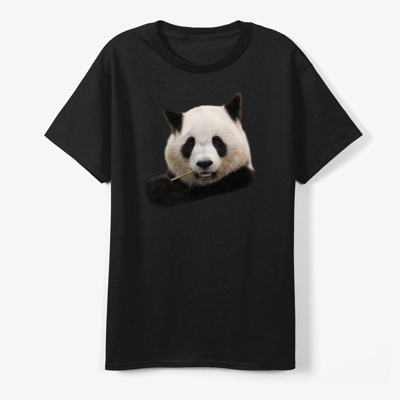 Giant panda 