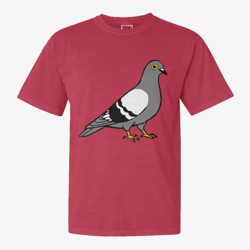 Pigeon 