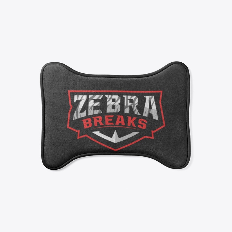 Zebra Breaks 22-23 Logo