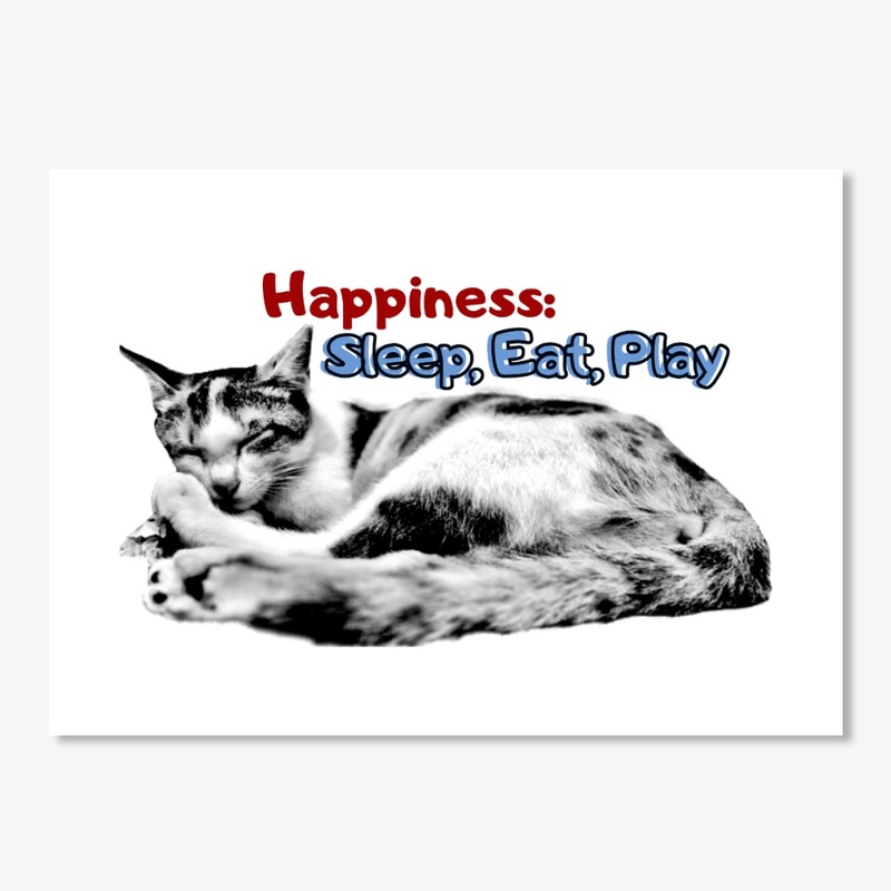 Meaning happiness 