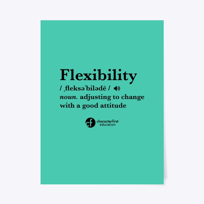 Flexibility Definition