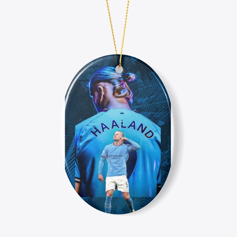 Erling haaland the viking