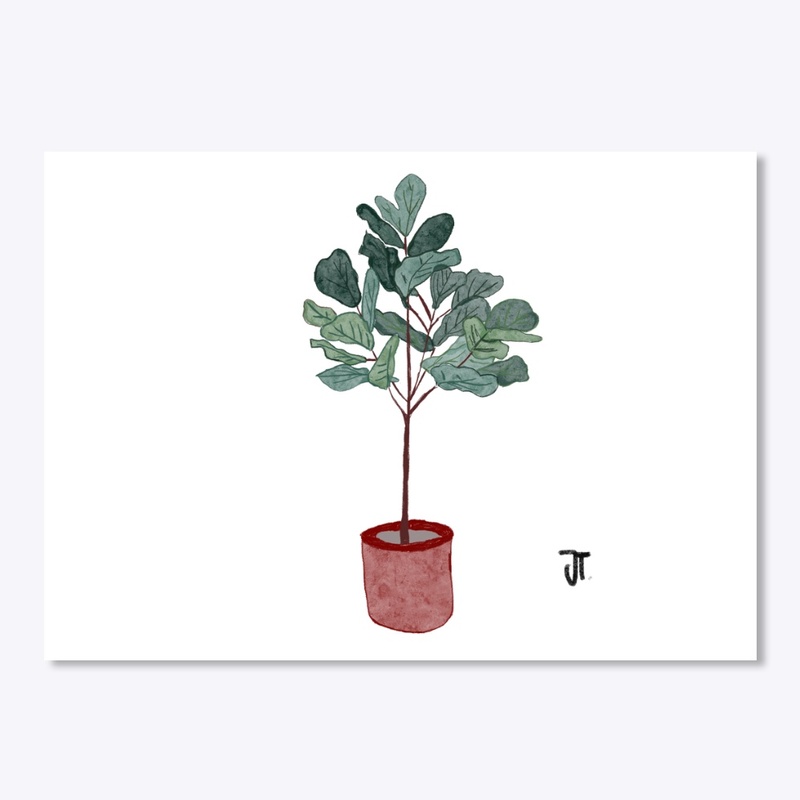 Fiddle fig