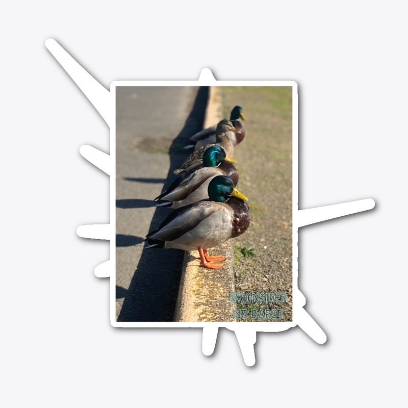 Ducks in a row