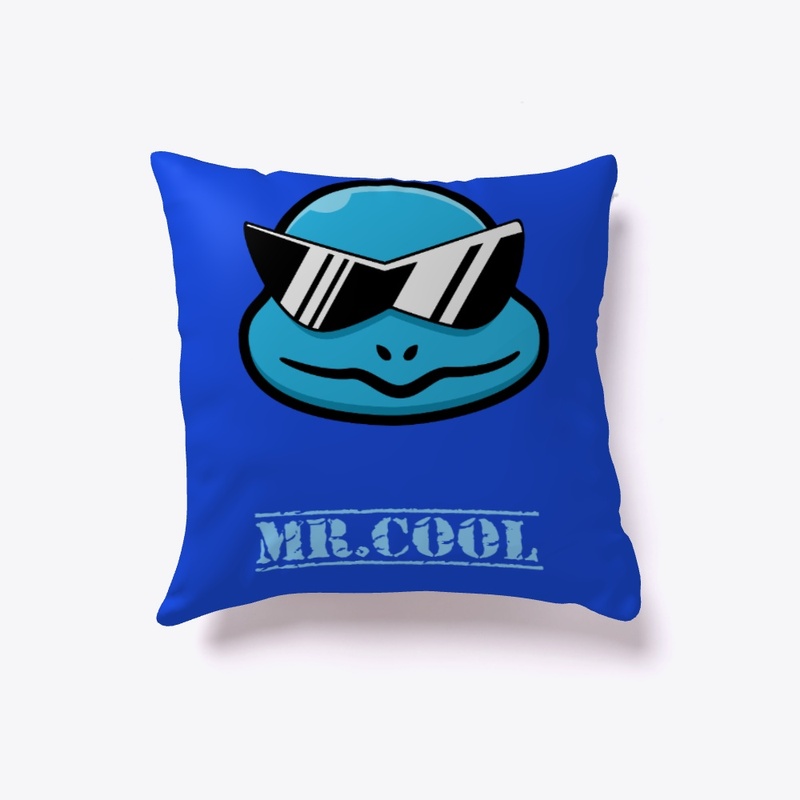 mr.cool
