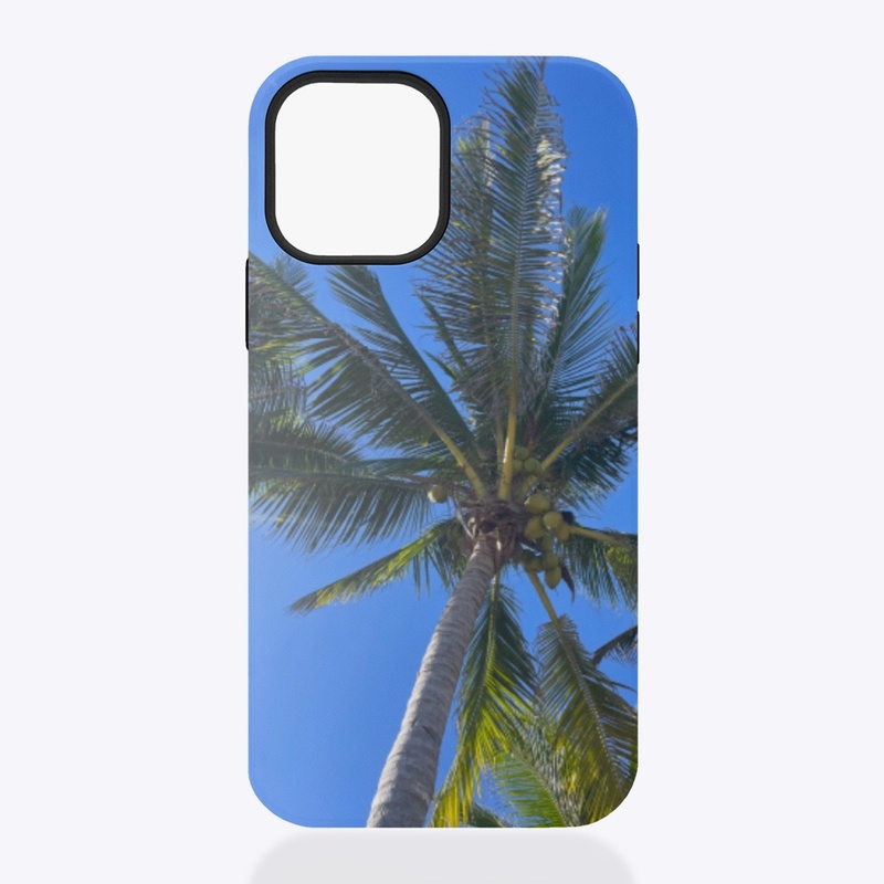 Palm tree