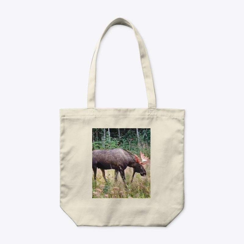 Moose Themed Accessories