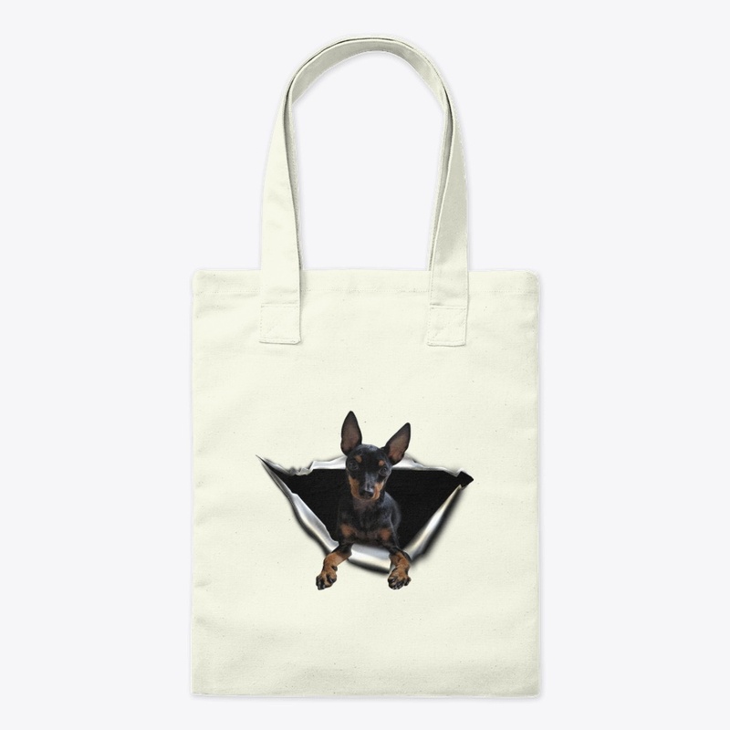 English Toy Terrier