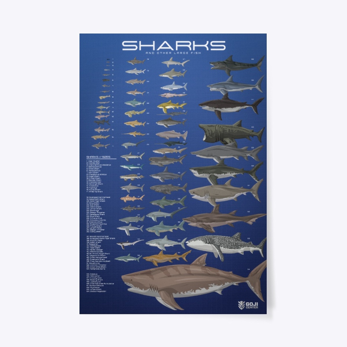 GojiCenter - Sharks Size Comparison Poster - Blue