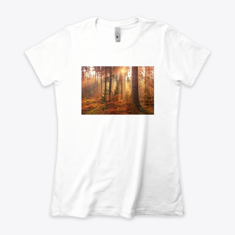 Value12 Sunshine in the forest