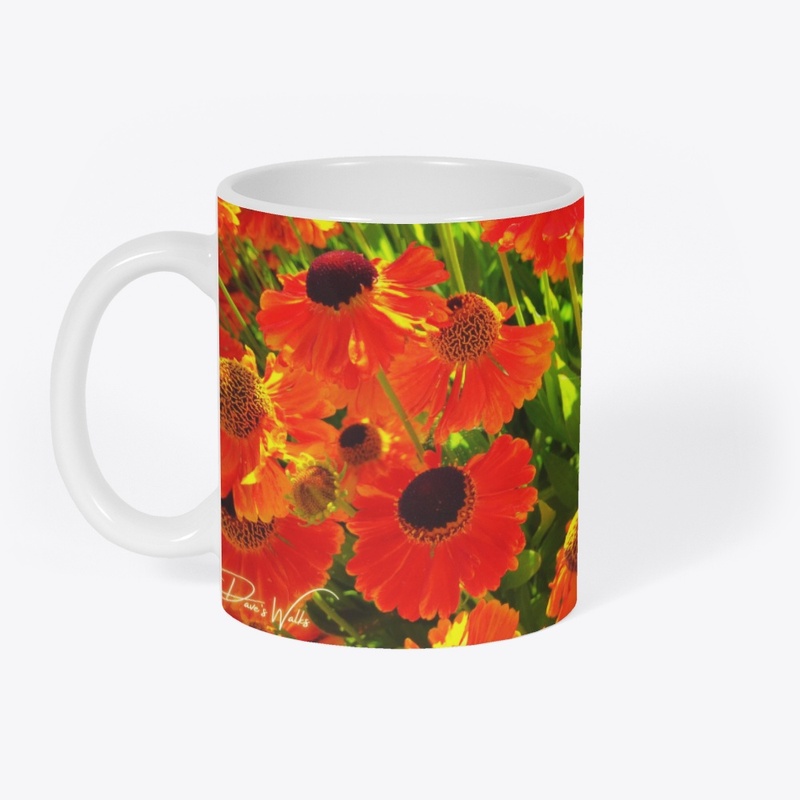Orange Summer Flowers