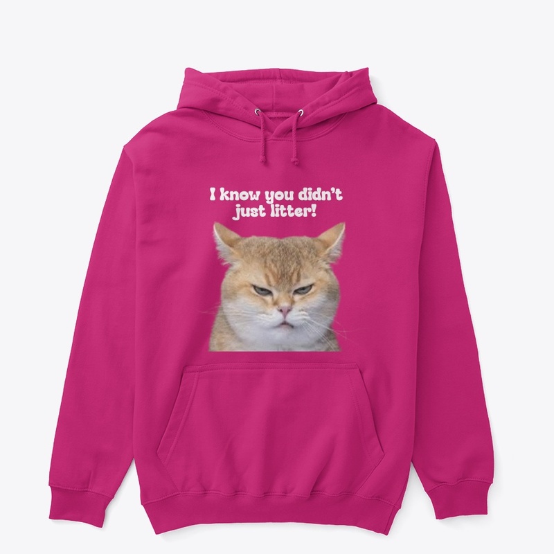 Upset Cat