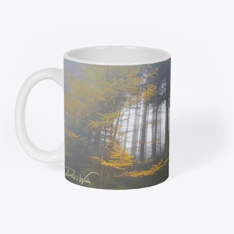 Tay Forest