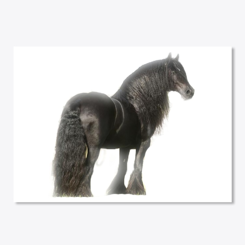 Black Horse Beauty