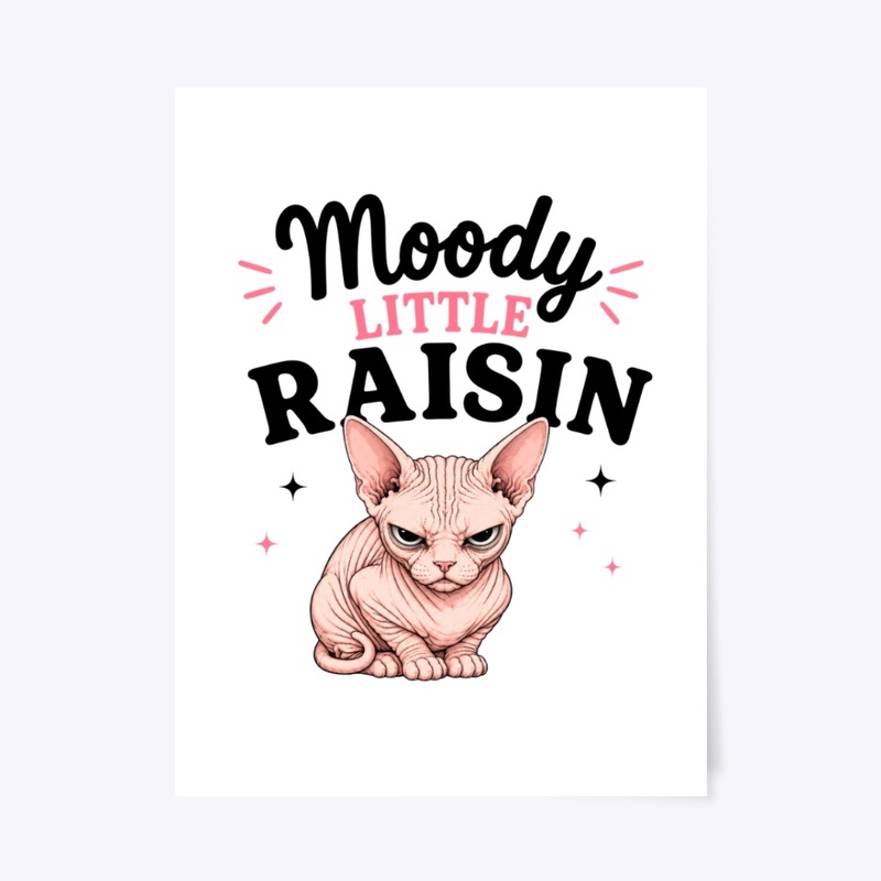 Moody Little Raisin Sphynx Cat