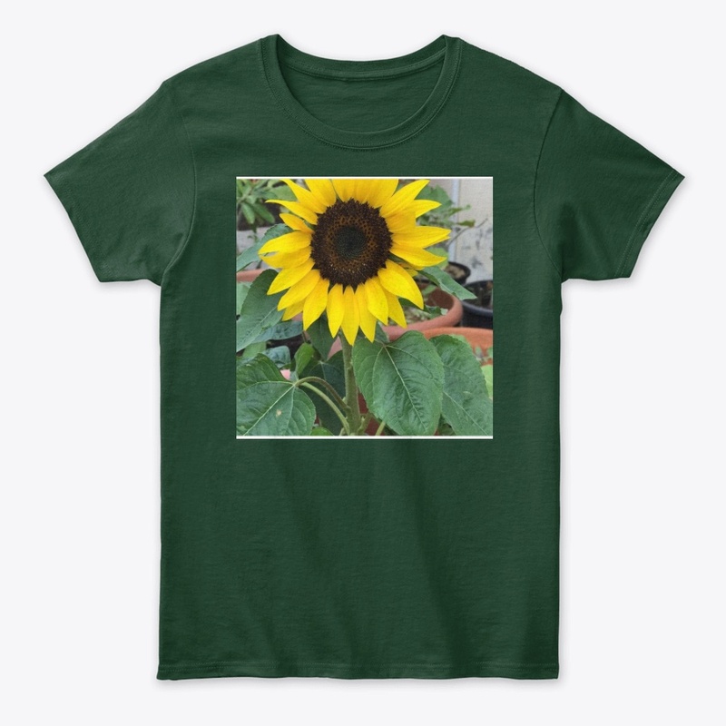 sunflower 