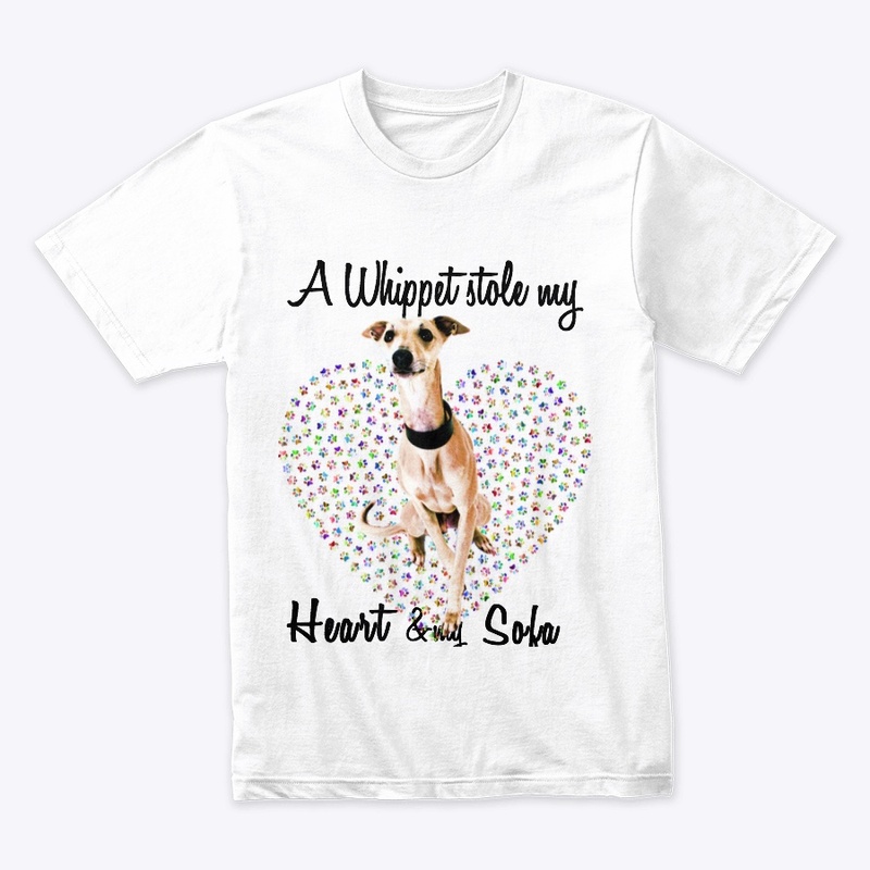 a whippet dog stole my heart