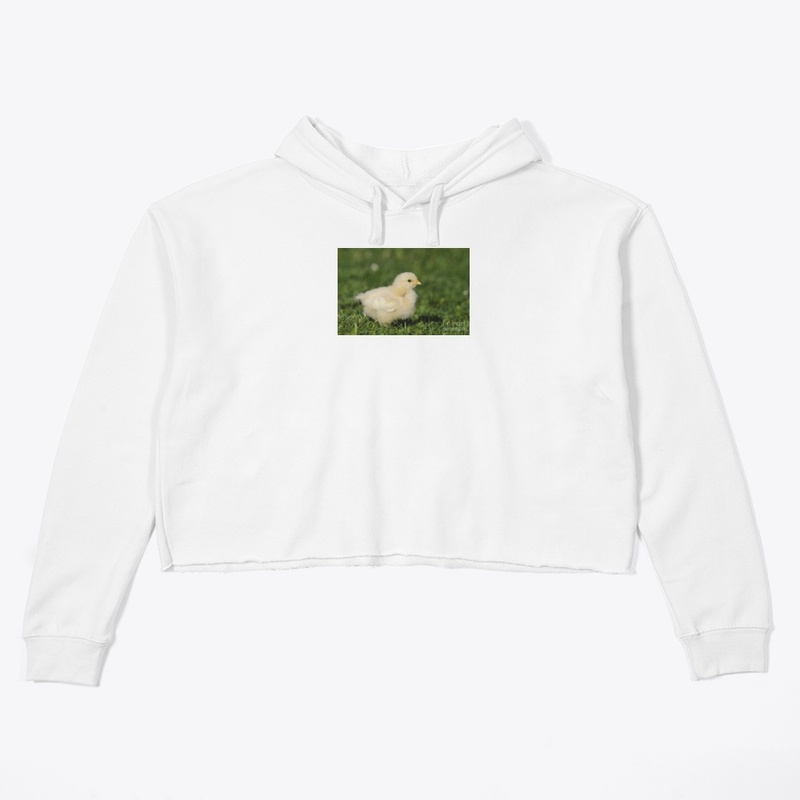 Cute Chick design all Items can be use