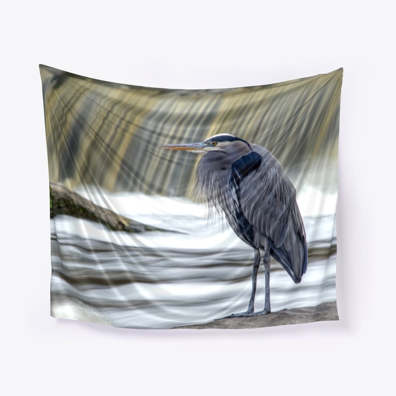 Great Blue Heron at Waterfall