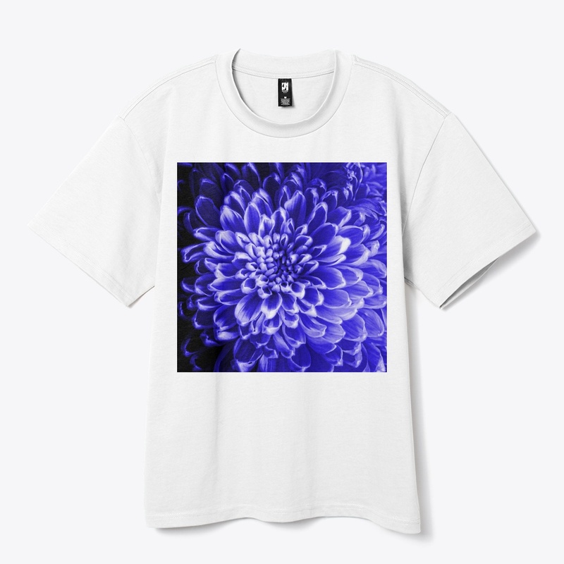 Blue Chrysanthemum