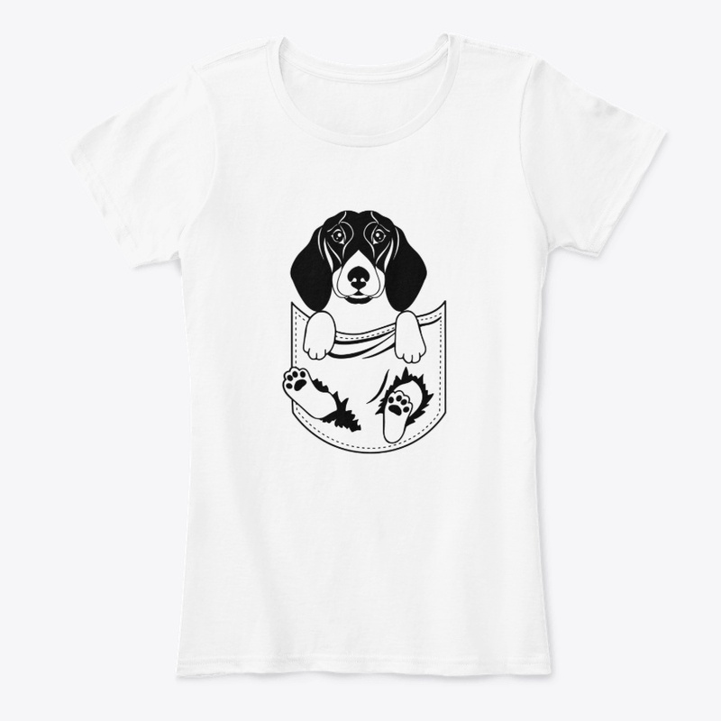 Cute Pocket Doxie Puppy