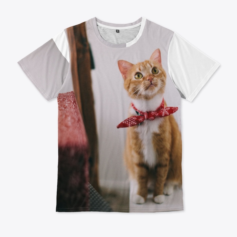 yellow cat