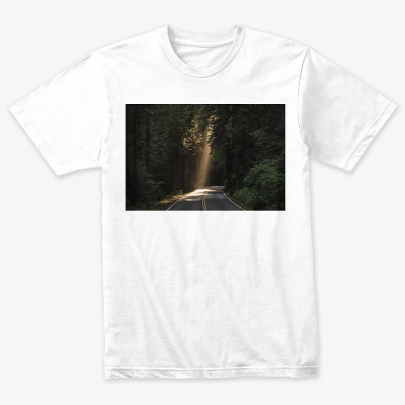 Apperals - Road in Forest Party Wear