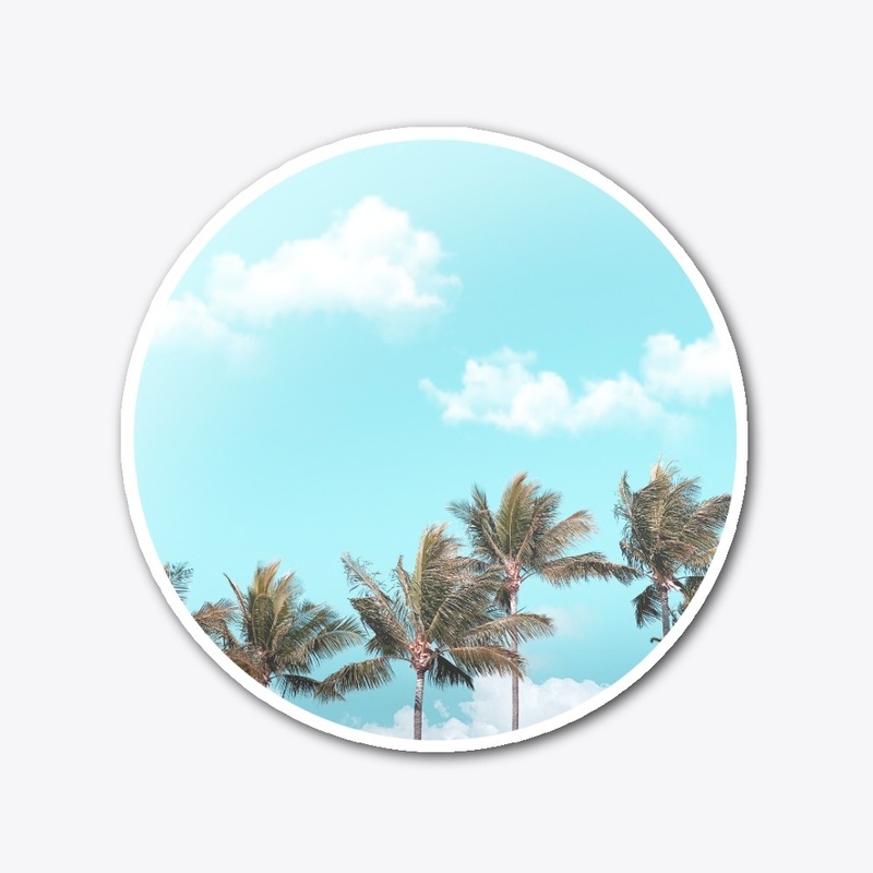 Palm Skys