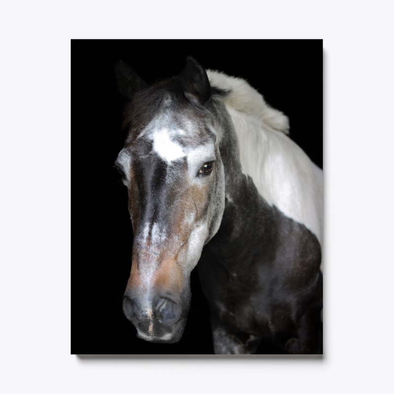 tango portrait