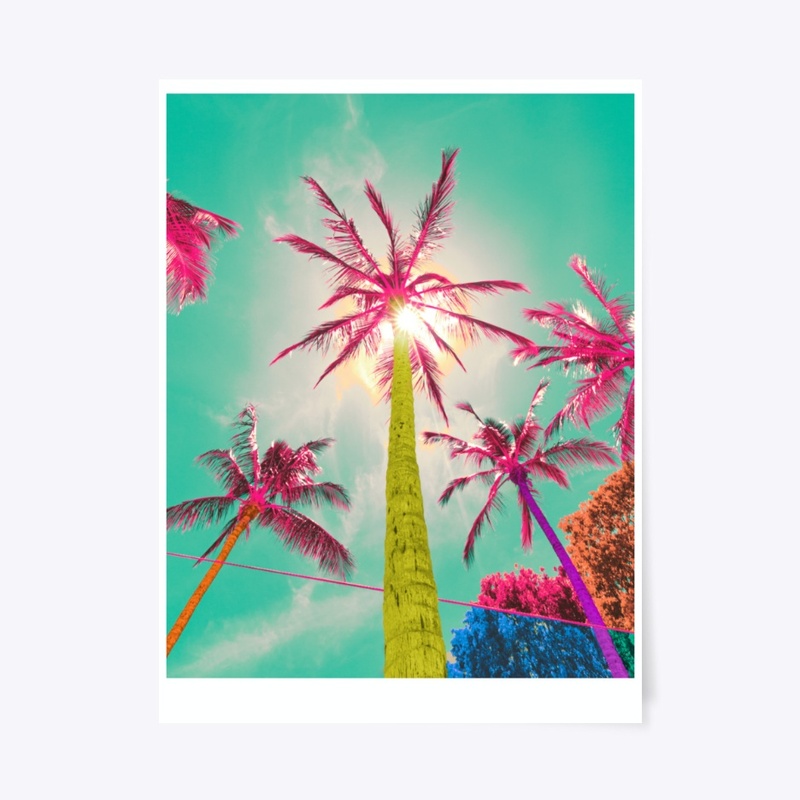 Pink Palms by Forgot Where I Was