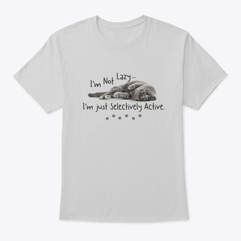 Lazy Gray Cat
