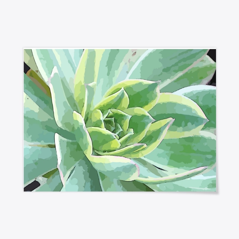 Serene Succulent