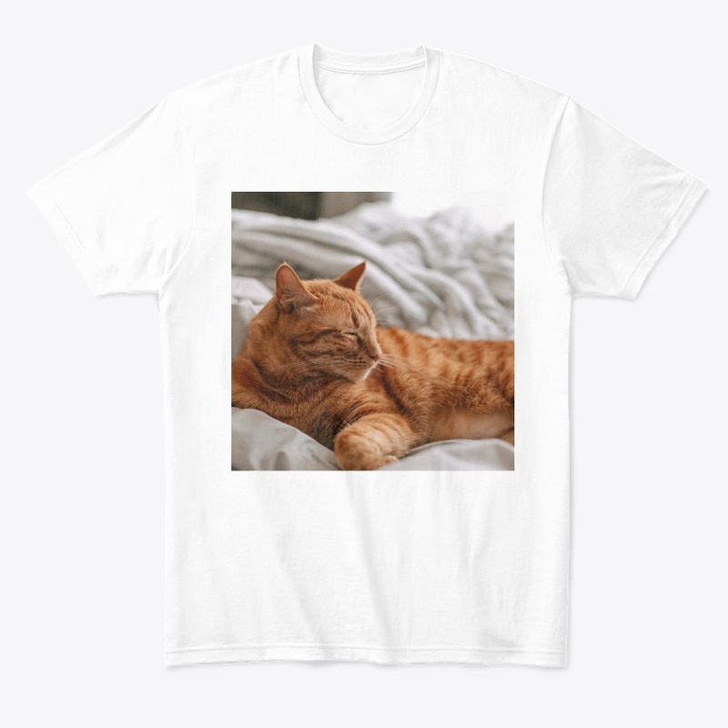 Nice cat
