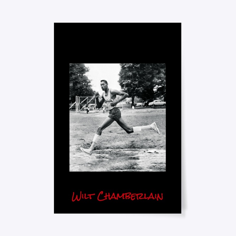 Everyday Ecofriendly Hoodie & Things