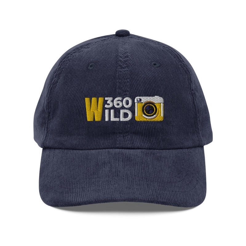 Travelling Aesthetic Cap 🧢