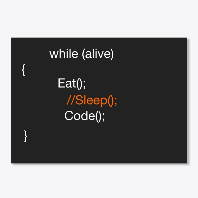 Programmer Routine