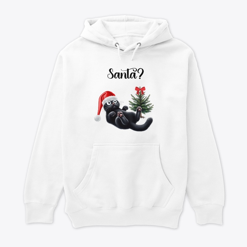 Santa?