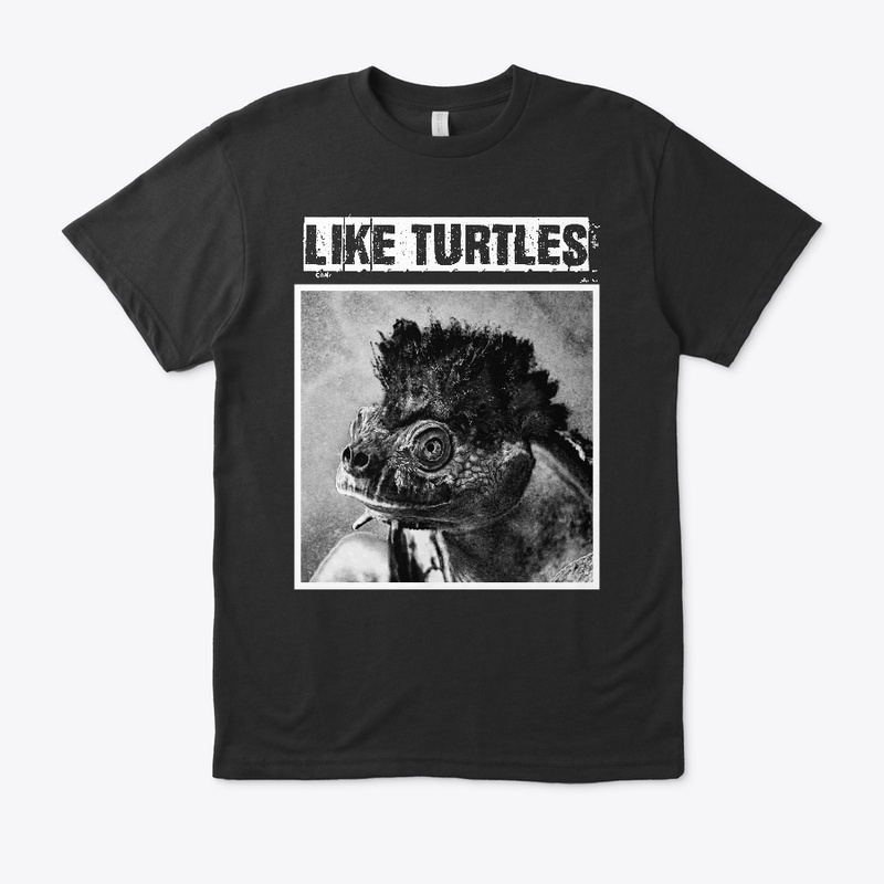 Punk Turtle Collection