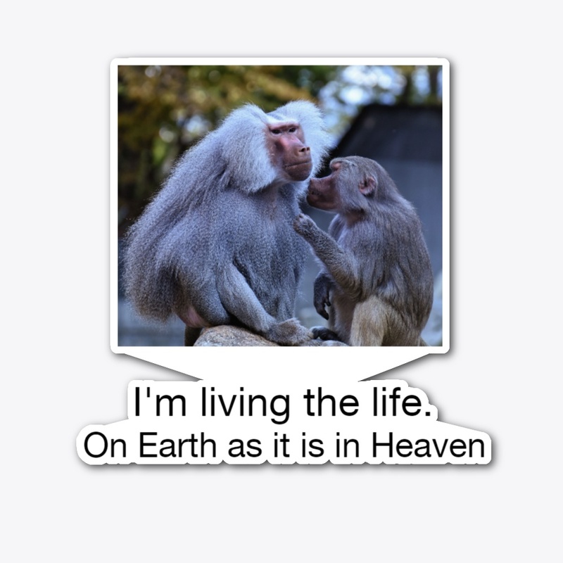 Living the life Baboons